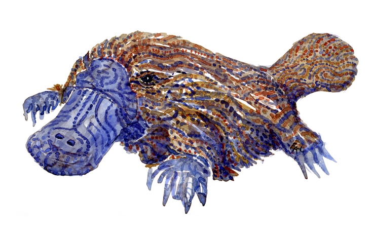 Watercolour by Frits Ahlefeldt, of a Platypus with stribes 